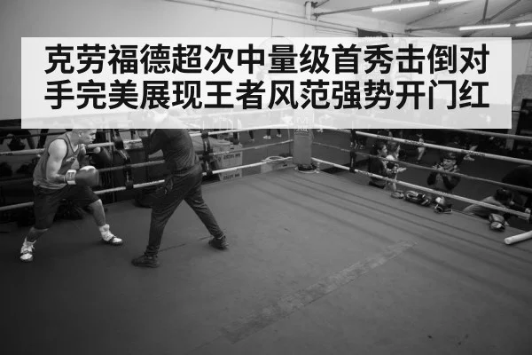 boxer training gym