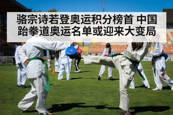骆宗诗若登奥运积分榜首 中国跆拳道奥运名单或迎来大变局